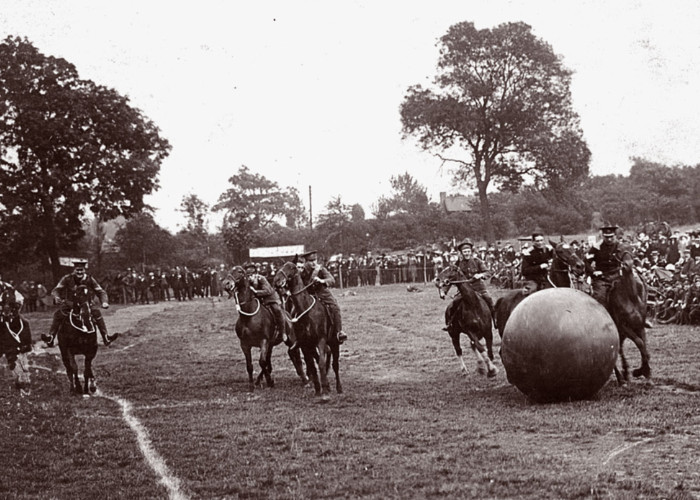 Equine f%27Ball_2_1